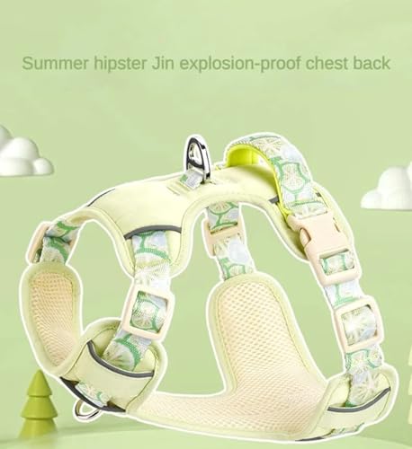 Ensemble de laisse de luxe pour chien avec harnais doux respirant vert