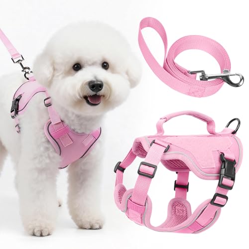 Ledeak Set di Pettorina e Guinzaglio per Cani di Piccola Media Taglia, Pettorina Antifuga Regolabile con Maniglia Comoda, Riflettente Traspirante Imbracatura Cane, Morbida e Imbottita (Rosa, XXS)