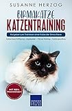 Birmakatze Katzentraining - Ratgeber zum Trainieren einer Katze der Birma Rasse:...