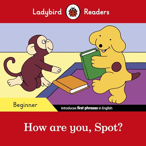 How are you, Spot? – Beginner: