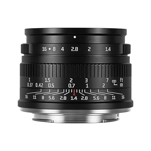 415slrJoZjL.jpg