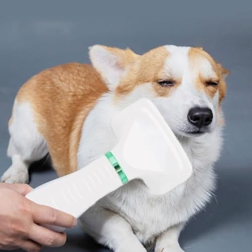 Secador portátil para pelo de cachorro 2 em 1 escova e pente para tosa de pets escova para penteado