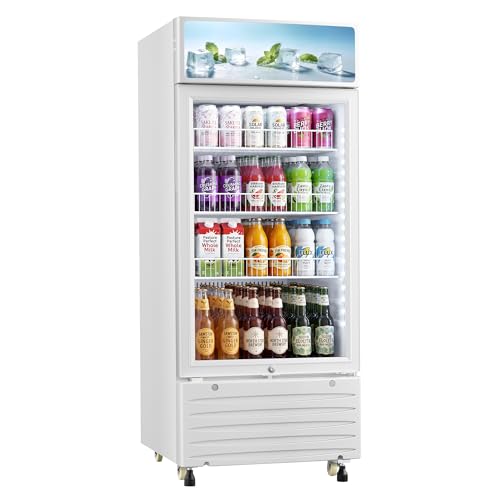 ICEVIVAL Glass Door Beverage Refrigerator