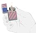 Zippo Patriotic Street Chrome Pocket Lighter