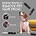 Flint Classic Black Retractable Mini Lint Roller with 90 Extra Sticky Sheets, Small and Portable Lint Roller, Ideal Pet Hair Remover, Travel Lint Rollers for pet Hair Extra Sticky