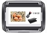 - Eier-Datierer-Set bestehend aus einem 4-mm-Mini-Gummistempel, selbstfärbend und einem vorgefärbten, eier-/lebensmittelsicherem Stempelkissen, schwarz
