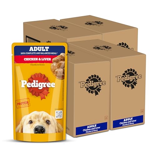 Image of Pedigree Adult Wet Dog Food, Chicken & Liver Chunks in Gravy, 130 g (Pack of 48), Complete & Balanced Meal for Adult Dogs