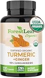 Turmeric Supplement Extra Strength 2265mg - Turmeric Curcumin Supplement w/BioPerine Black Pepper - Tumeric and Ginger Supplements, 95% Curcuminoids, Supports Immune & Joint Health, 120 Caps