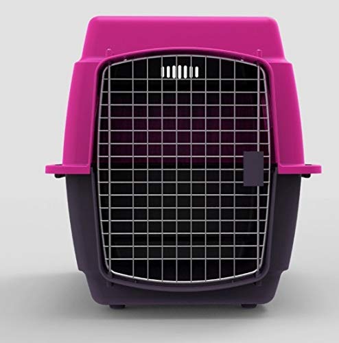 Perro, Pet Products Imagen adicional