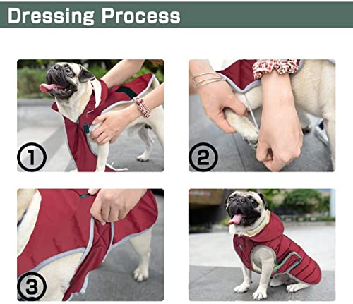 Etechydra Winter Hundejacke with Abnehmbarem Hut, Hundemantel Wasserdicht Reflektierend Hund Mantel Warme Hoodie Fleece Welpenmantel, Jacken für Kleine Mittlerer Große Hunde, Rot, XS