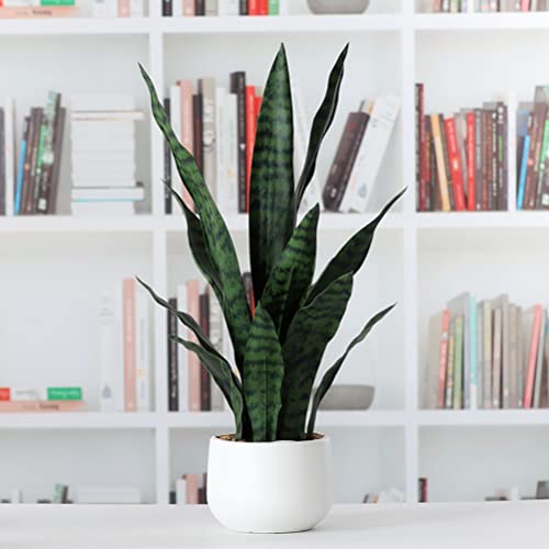Beebel Artificial Snake Plant 22 Inch Fake Sansevieria Fake Agave Potted Plants Plastic Greenery For Home Garden Office Store Decoration 12 Leaves (Green) #TOP5