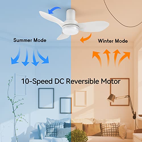Arterki Low Profile Ceiling Fan With Light Remote Control, Indoor & Outdoor Ceiling Fan Work With App, Alexa, Siri, Google Home, 36" Small Ceiling Fan With 10-Speed Dc Motor, Flush Mount Ceiling Fan #TOP2