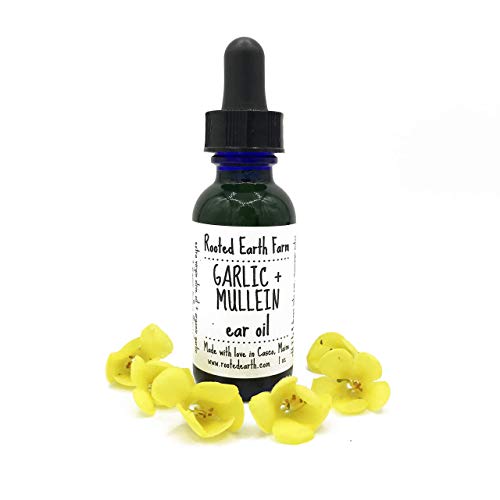 Best Garlic For Ears
