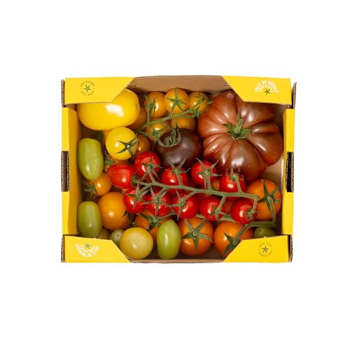 Isle of Wight Mixed Heritage Tomato Box 1kg