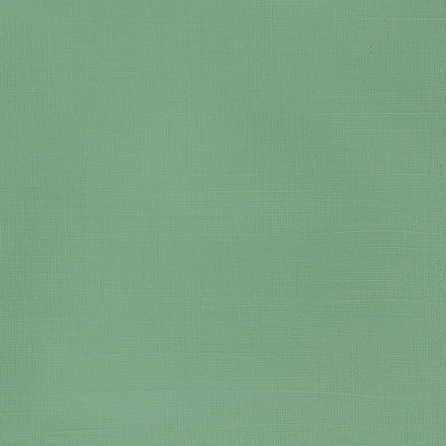 Winsor & Newton 2131435 Galeria Acrylfarbe, hohe Pigmentierung, lichtecht, buttrige Konsistenz, 120 ml Tube - Olivgrün Hell