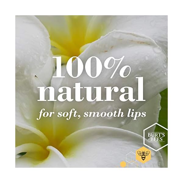 Burts-Bees-100-Natural-Conditioning-Lip-Scrub-with-Exfoliating-Honey-Crystals-Yellow-Brown-025-Oz Burt's Bees Conditioning Honey Lip Scrub, Exfoliates & Conditions Dry Lips, with Honey Crystals, Use with Overnight Intense Lip Treatment, Natural Origin Lip Care, 0.25 oz.