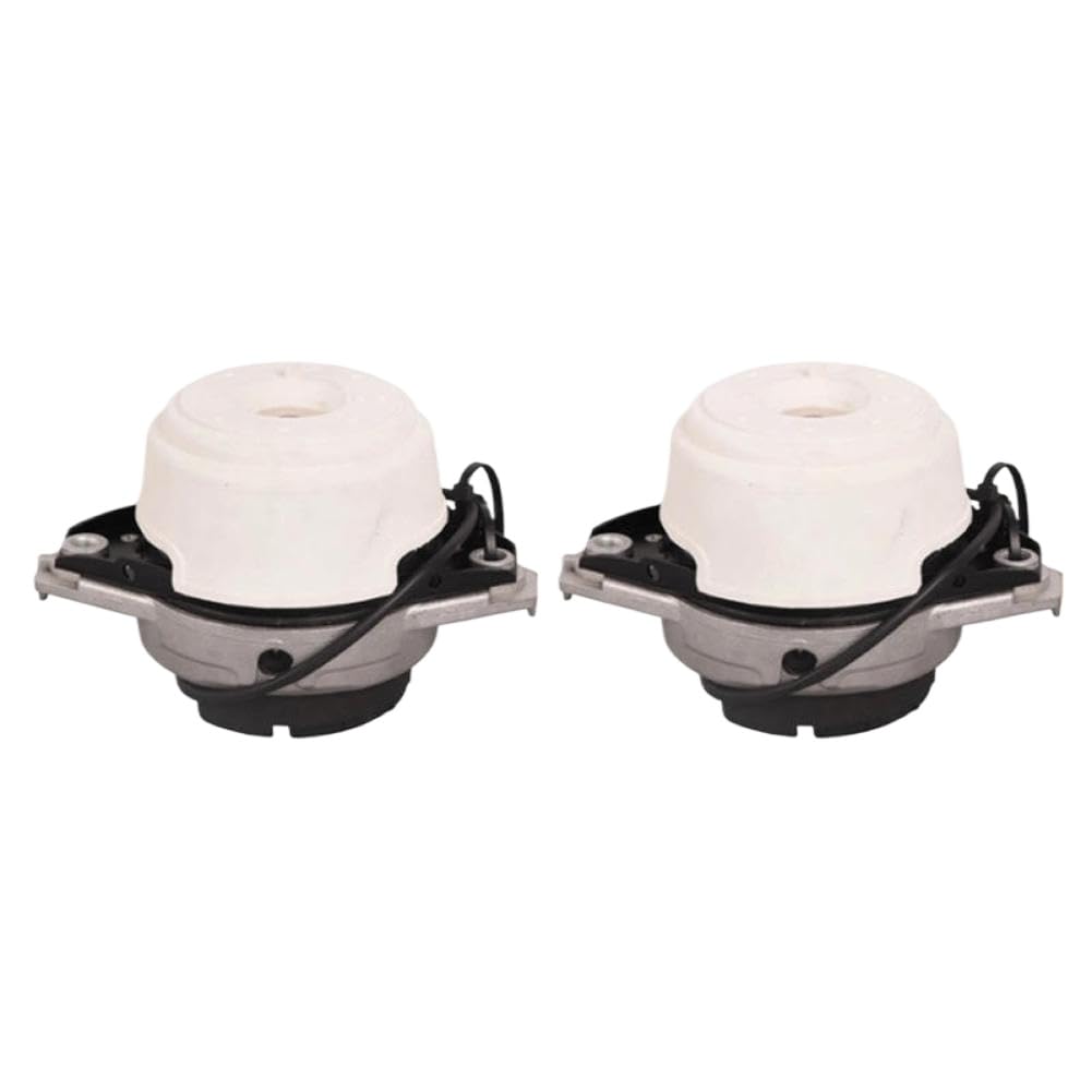 Engine Mount Compatible with W166 GL350 ML350 Bluetec 4Matic 3.0L A1662406817 A1662406917 1662406817 1662406917(1662406917)
