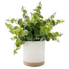 Eucalyptus-ceramic Pot