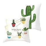TECNOLOGÍA DE FUNDA DE ALMOHADA: tecnología de impresión ecológica, patrones exquisitos, lavado de colores rápidos, baja contracción, saludable y ecológico. Funda de almohada rectangular impresa a doble cara, garantía de calidad, no es fácil de arrugar, duradera, más conveniente para la decoración. Los bordes meticulosos y el diseño de cremallera invisible mejoran la estética sin rayarse fácilmente.