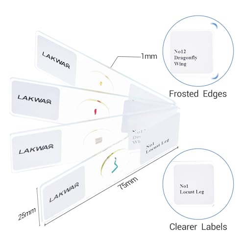 25 Insect Microscope Slides with Specimens for Kids Adults, Prepared Insect Microscope Slides Kit, Prepared Insect Glass Slides for Adults Kids