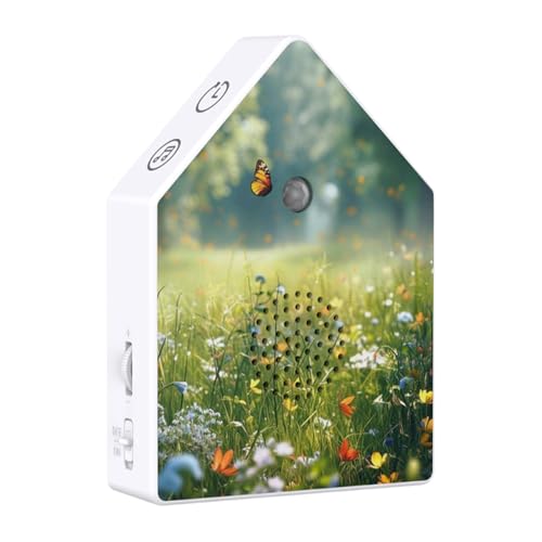 鏬̃fB[IS[ - FGu ^C}[t,[VZT[t̂艹{bNX,QAoX[Ae@AAґzAsp