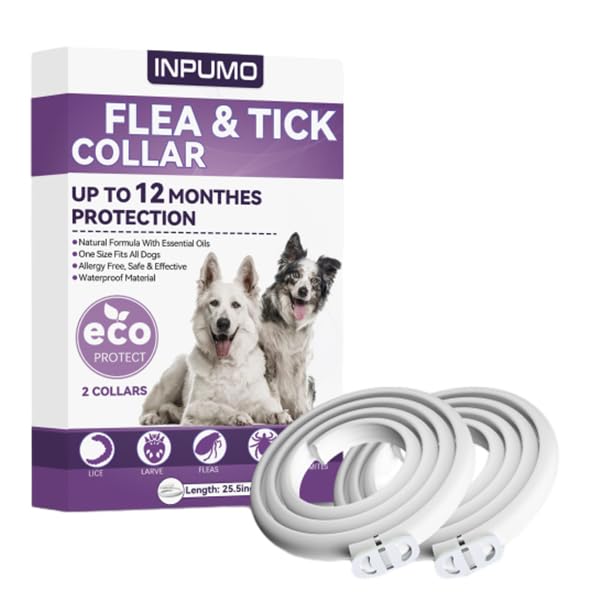 Collier Anti Puces pour Chien, Réglable Et Étanche Collier Antiparasitaire Chien 12 Mois, Naturel Imperméable Élimine Puces, Tiques, Poux (2 pièce)