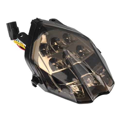 Feux freinage clignotants lampe intégrée haut rendement pour RS 660