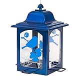Perky-Pet 363B Blue Sparkle Lantern Bird Feeder