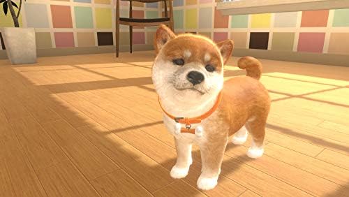Little Friends: Dogs & Cats - [Nintendo Switch]