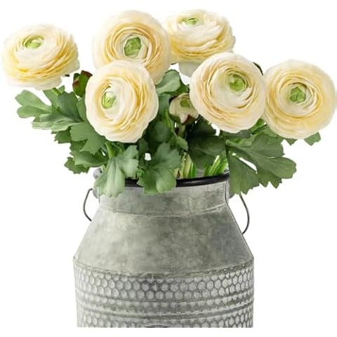TOPIA Artificial Ranunculus Flowers (6 Pack) Cover