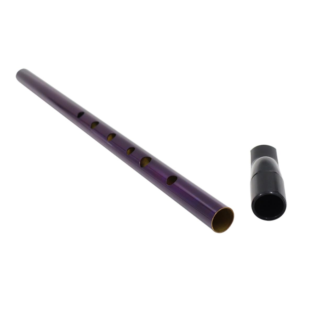 BESPORTBLE Irish Whistle Portable Wind Instrument for Beginners Interactive Music Comfortable Grip Educational present