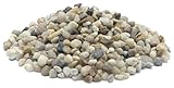 acuario grava blanca o negra Tiene una cantidad de dos kg Marina Grava Natural Decorativa para Acuario