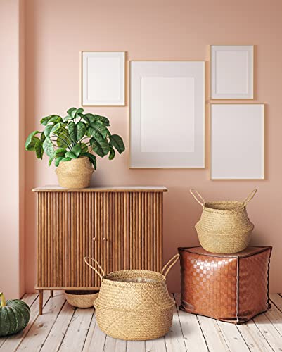 Artera Woven Seagrass Plant Basket - Wicker Belly Basket Planter Indoor With Plastic Liner And Handles, Natural Plant Pot For Fiddle Leaf Fig Tree, Snake Plant (Medium, Natural) #TOP5