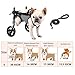 WSPWFQ Dog Wheelchair - Reflective Strips & Explosion - Proof Leash, Breathable Mesh, Multi - Size for Small - Medium Dogs (XS - M)(S)