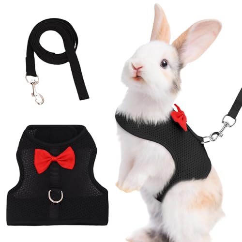 LOMSUXA Laisse pour Lapin Accessoires, Accessoires de Lapin, Harnais avec Laisse, Colliers et laisses pour Petits Animaux, Réglable, Respirant (Noir, M)