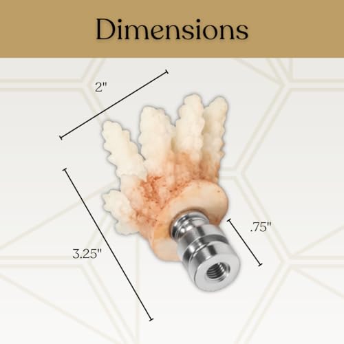 Image of Royal Designs, Inc. Sea Life Lamp Finial, Medium Coral, Two-Tone White, Polished Silver Base, Replacement Finial for Table or Floor Lamps