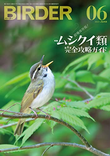 BIRDER (バーダー) 2023年 06月号 [雑誌]