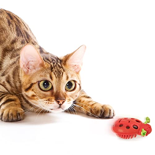 Petlinks Rumble Bug Electronic Motion Cat Toy, Battery Powered - Red, One Size #TOP3