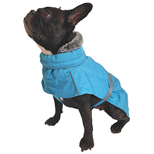 Croci Hiking Hundemantel, wasserdicht, für Hunde, Makalu, wärmeregulierendes Futter, Türkis, 40 cm
