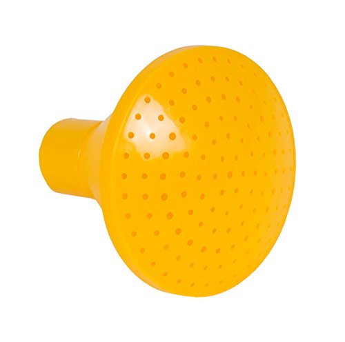 Innaffiatoio In Plastica 2 Litri – Koni Pplast – Altezza 22 Cm, Lunghezza 37 Cm - 3