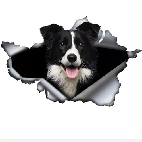 Autocolante para carro Border Collie 25 cm (9,8 polegadas) - engraçado, impermeável, 3D rasgado, metal, refletor e decorativo - Pet Dog Car Sticker
