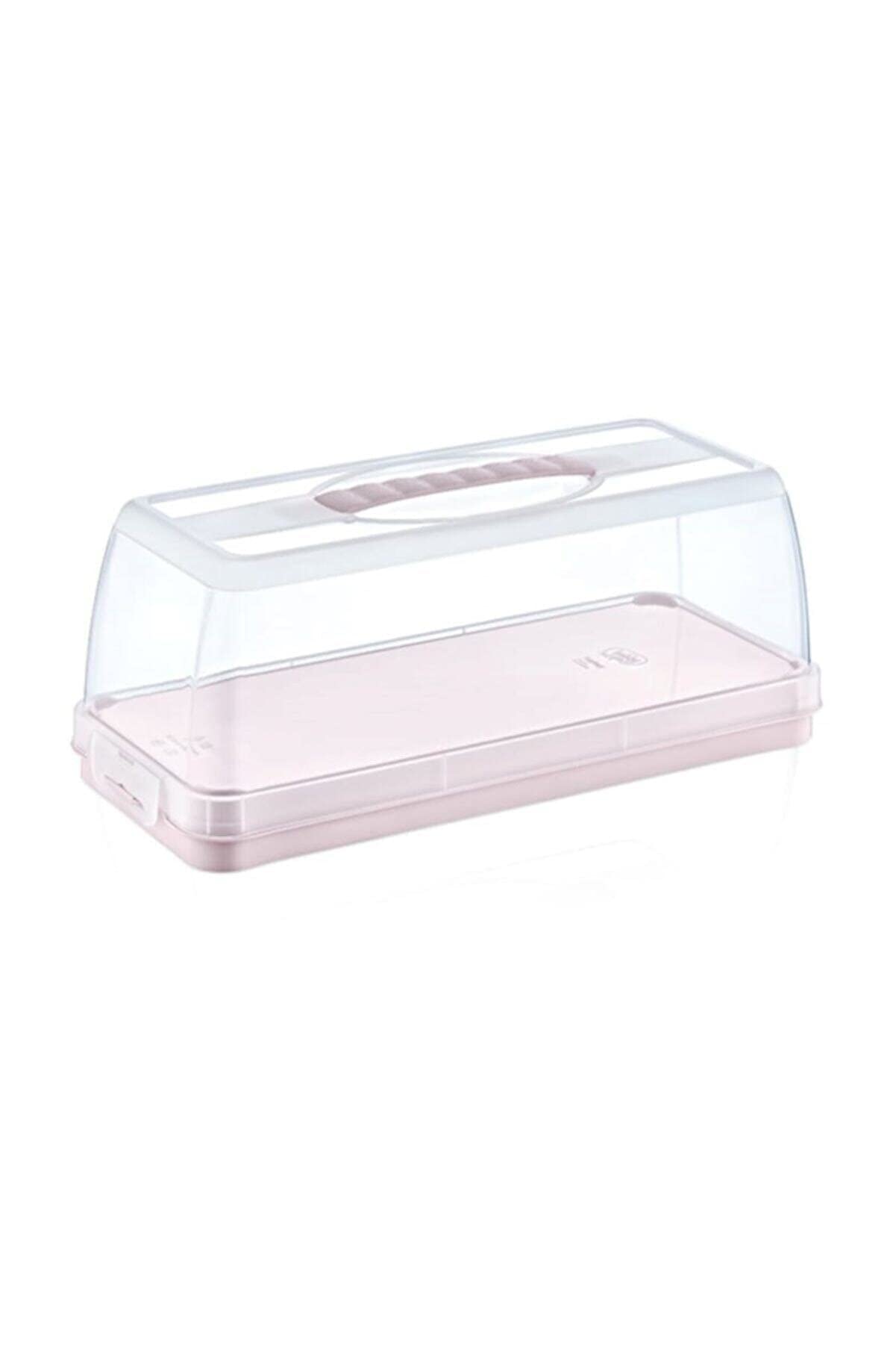 Cleany GenieCleaning Superstore Rectangle Cake Carry Box, Multicolour