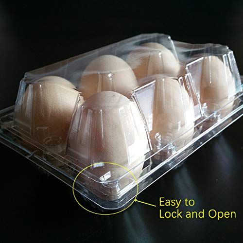48Pack Clear Plastic Disposable Egg Tray Carton Holder for Family Pasture Chicken Farm Business Market- Holds 6 Eggs Securely