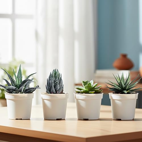 15 Artificial Plant Decorating Ideas 84 UGAOO Succulent Plant Combo Set of 4 โ Assorted Live Indoor Plant...