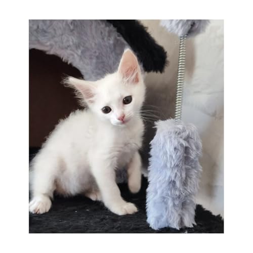 Arranhador Casa para Gatos 3 andares com Rede e Túnel Grande Cat (Lunar Black)