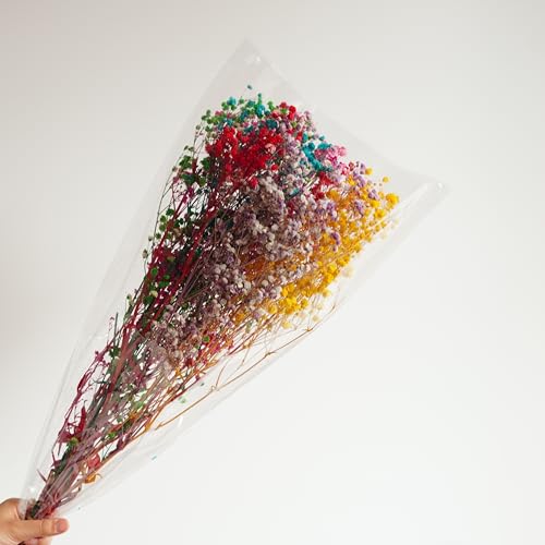 Preserved Natural Baby Breaths Gypsophila Flower Stems miniatura 4