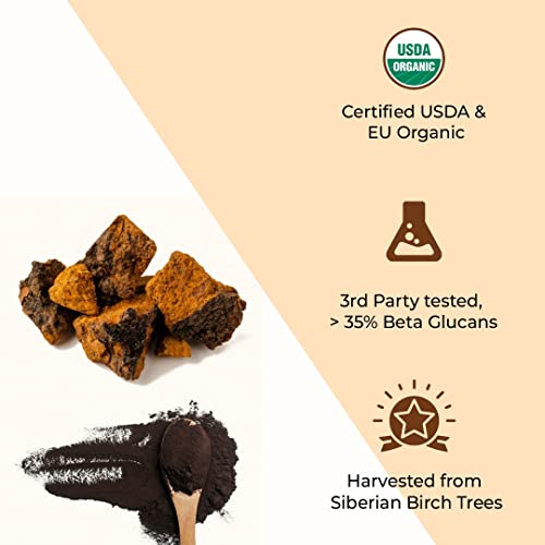 Rooted Actives Siberian Chaga Mushroom Capsules (120Gm) | Blood Sugar, Heart & Immunity | Usda Organic | 35% Beta Glucans | Certified Organic Siberian