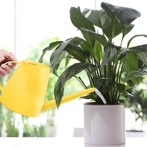 Image of Plastic Watering Can for Home Plant Garden 1 /2 Gallon Yellow