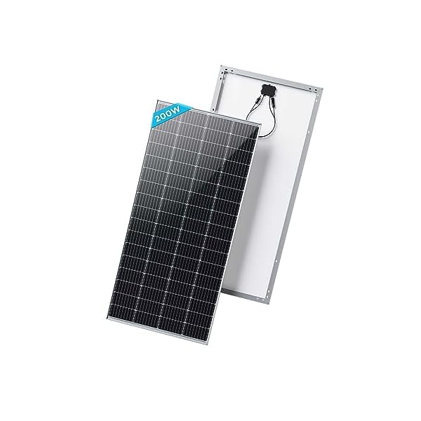 Renogy Solarmodul Mono 12 V, Solarpanel, Solarzelle, Photovoltaikmodul für Aufladen von 12V Solarbatterie IP65 wasserdichte Anschlussdose