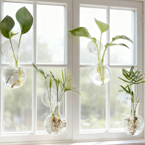 Everkeen Vase mit Saugnapf 4 Stück Fenster Pflanze Propagation Station Hängende Glasvase Pflanze Terrarium Anzuchtstation Pflanzgefäß Keine Nägel